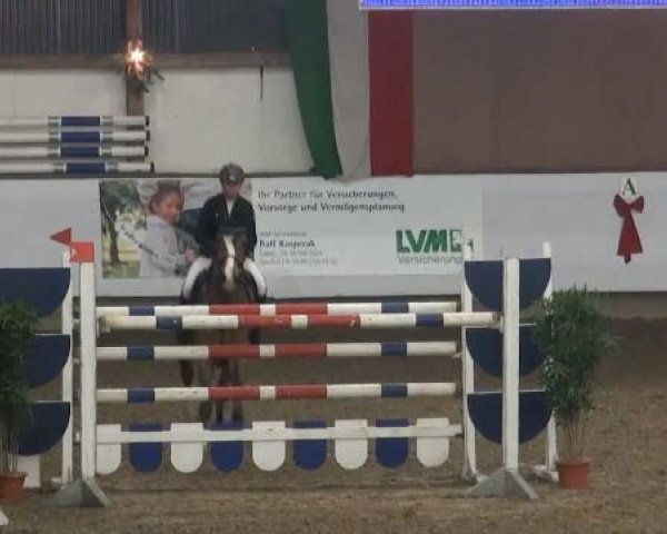 jumper Exitos Pleasure (Hanoverian, 2004, from Embassy I)