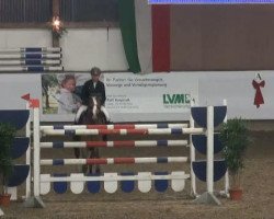 jumper Exitos Pleasure (Hanoverian, 2004, from Embassy I)
