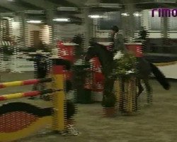 jumper C Jay (Hanoverian, 2004, from Contendro I)
