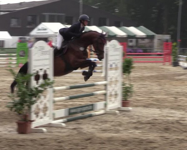 Reitturnier Datteln 2022
