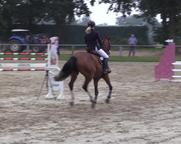 Reitturnier Datteln 2022