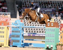 Springpferd L'Artiste de Toxandra (Belgisches Warmblut, 2011, von Toulon)