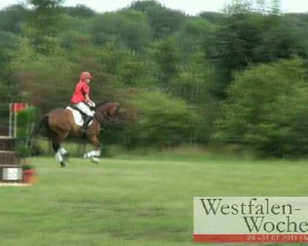 dressage horse Forester's boy F (Westphalian, 2005, from Florencio I)