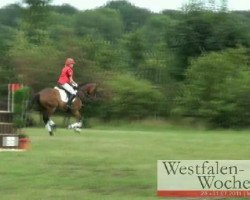 dressage horse Forester's boy F (Westphalian, 2005, from Florencio I)