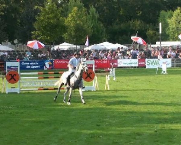 jumper Adlantica (Hanoverian, 2004, from Adlantico As)