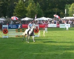 jumper Adlantica (Hanoverian, 2004, from Adlantico As)