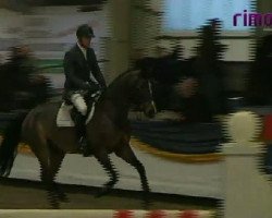 broodmare Candy (Saxony-Anhaltiner, 2002, from Cardenio)