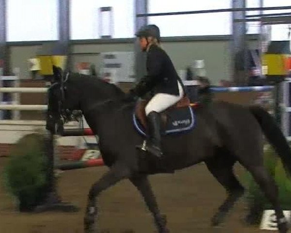 broodmare Easy 65 (Hanoverian, 2000, from Escudo I)