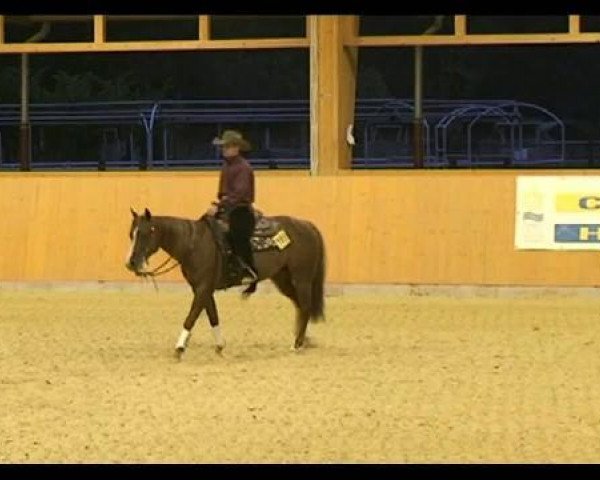 horse Mizzen Spook (Quarter Horse, 2007, from Smart Spook)