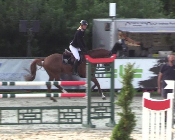 Reitturnier Schnarup-Thumby 2022