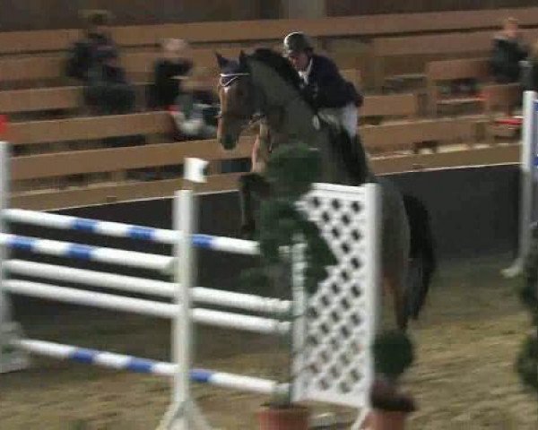 jumper Larius Junior (Westphalian, 2002, from Larius W)