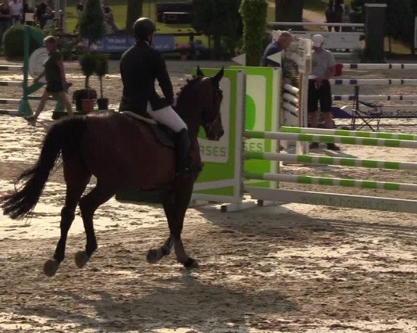 Reitturnier Schnarup-Thumby 2022