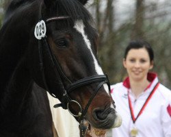 Pferd Rasputin 388 (Polnisches Warmblut, 1992)