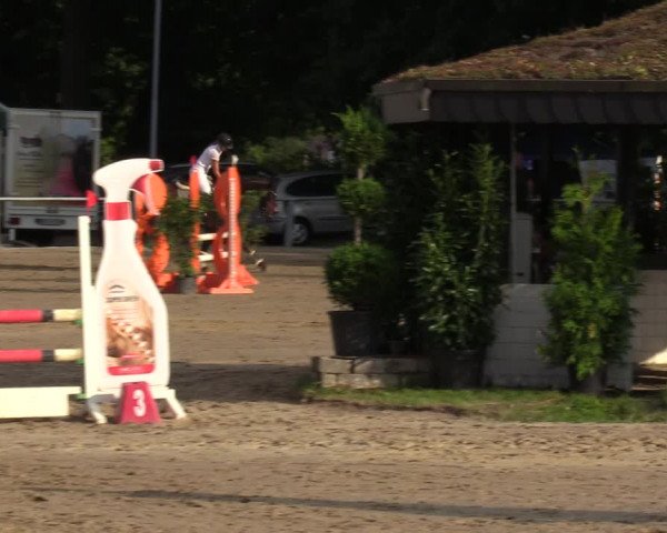 Reitturnier Datteln 2022