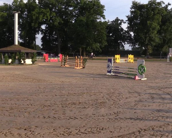 Reitturnier Datteln 2022