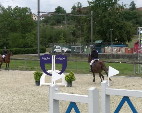 Reitturnier Dompierre 2022