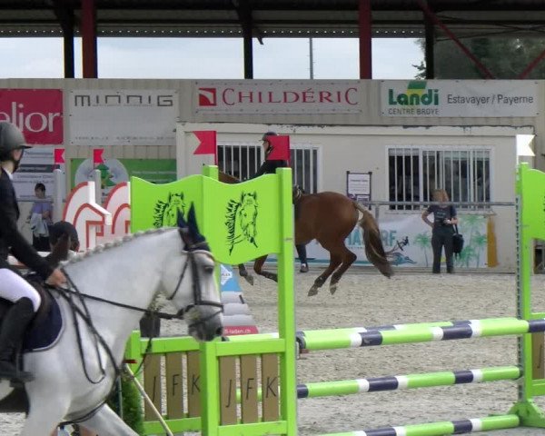 Reitturnier Dompierre 2022