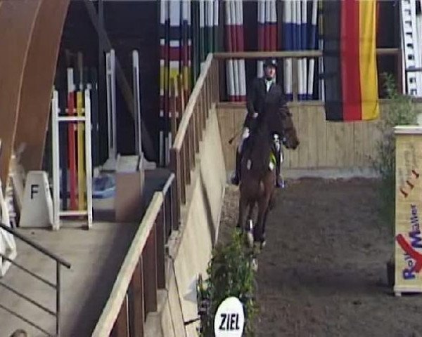 jumper Calippo (Westphalian, 2004, from Charisma)