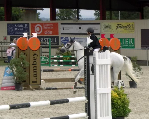 Reitturnier Dompierre 2022