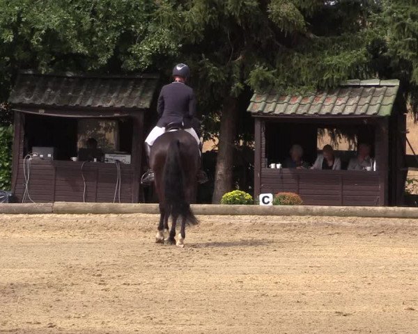 Reitturnier Datteln 2022