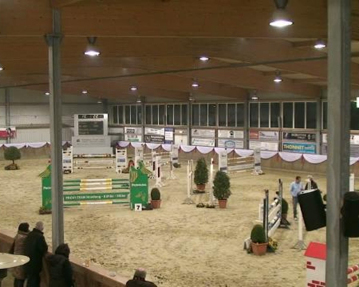 Springpferd Contigo 35 (Holsteiner, 2004, von Contender)