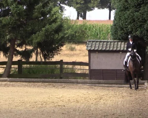 Reitturnier Datteln 2022