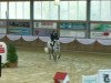 jumper Betsie Buh (anglo european sporthorse, 2006, from Sunny)