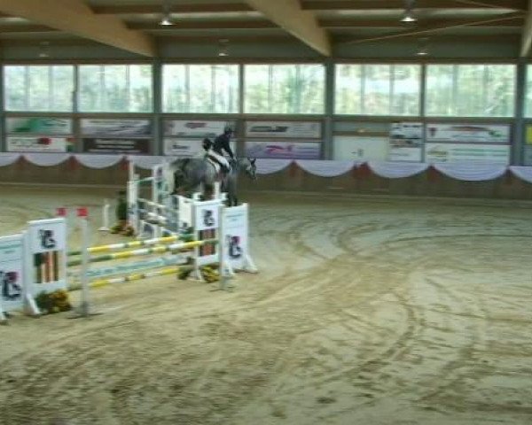 horse Blue Apple (KWPN (Royal Dutch Sporthorse), 2006, from Cartano)