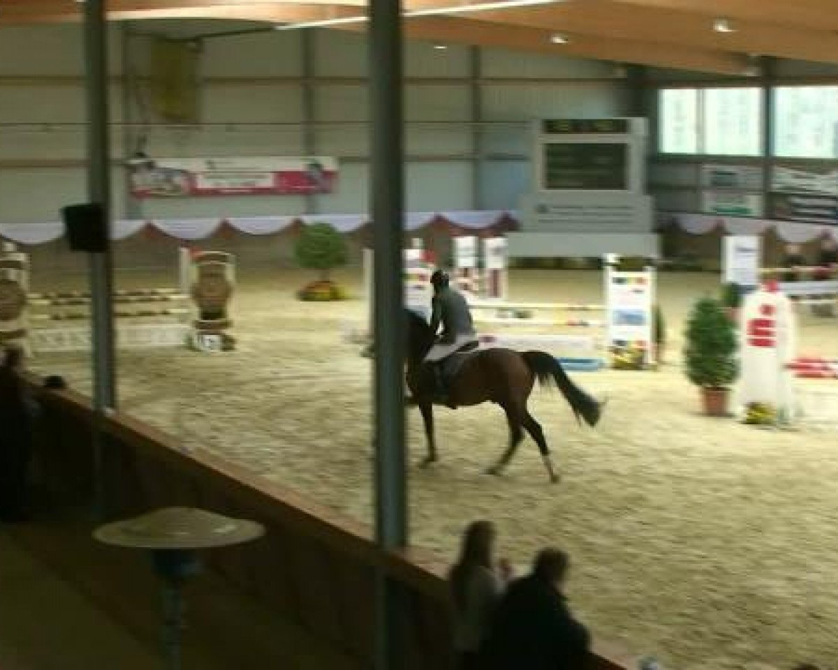 jumper Lionheart 9 (Bavarian, 2006, from Landprinz)