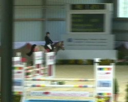 jumper Nibelungenprinz 2 (German Riding Pony, 2006, from Nibelungenheld)