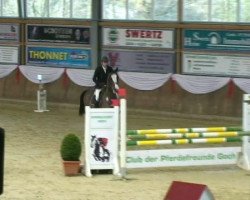 jumper Baloumiro 2 (Oldenburg show jumper, 2006, from Balou du Rouet)