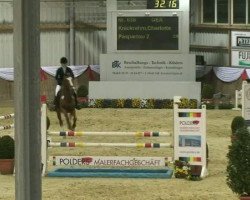 jumper Paspartou 2 (German Riding Pony, 2006, from Pilatus)