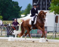 dressage horse Isterberg II (Hanoverian, 2018, from Instertanz V 241 FIN)