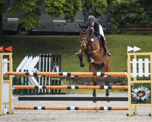 jumper Crapou K (Hanoverian, 2016, from Cansendo)