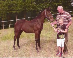 Springpferd Callie Rose Z (Zangersheide Reitpferd, 2011, von Champion de Cord)