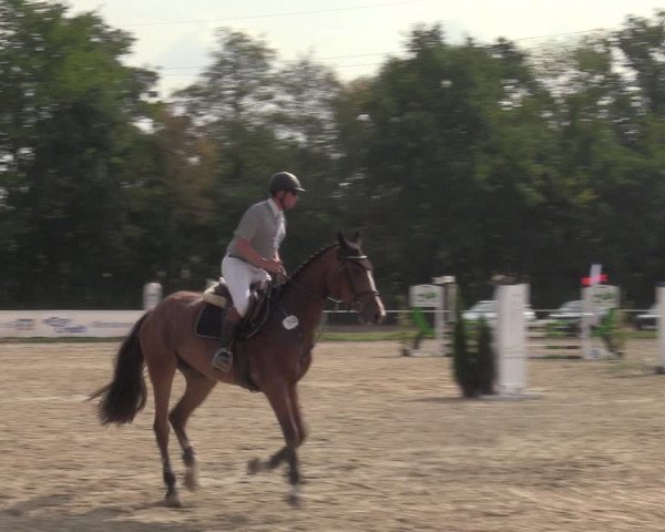 Reitturnier Menden 2022
