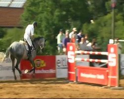 Springpferd It's Fritz 7 (KWPN (Niederländisches Warmblut), 2002, von Indorado)