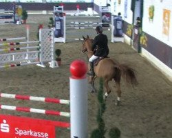 jumper Leadership (German Sport Horse, 2005, from Lassini)