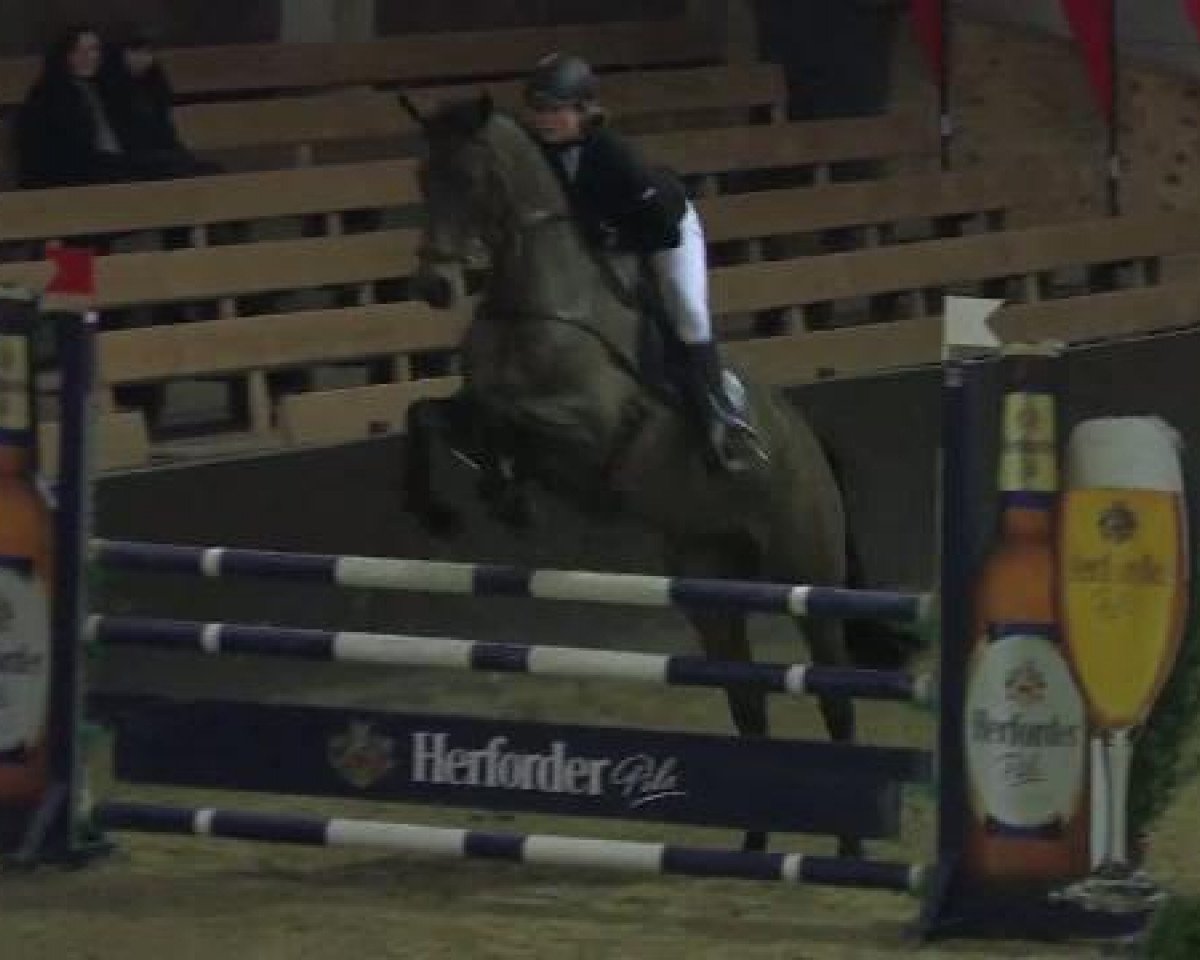 jumper Cally R (Westphalian, 2005, from Cayetano L)