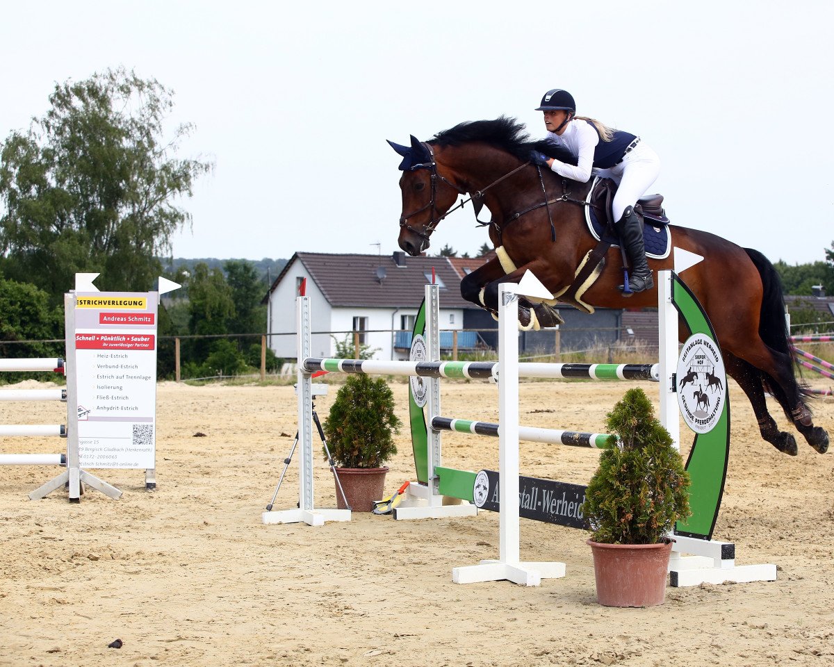 jumper Chapeau Claque H (Westphalian, 2013, from Conteur)