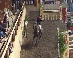 jumper Dustin 134 (Hanoverian, 1994, from Drosselklang II)