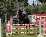 jumper Orlanda S (Oldenburg show jumper, 2016, from Orlando van de Heffinck)