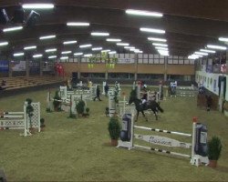 jumper Dornenrose (German Sport Horse, 2004, from Casado)