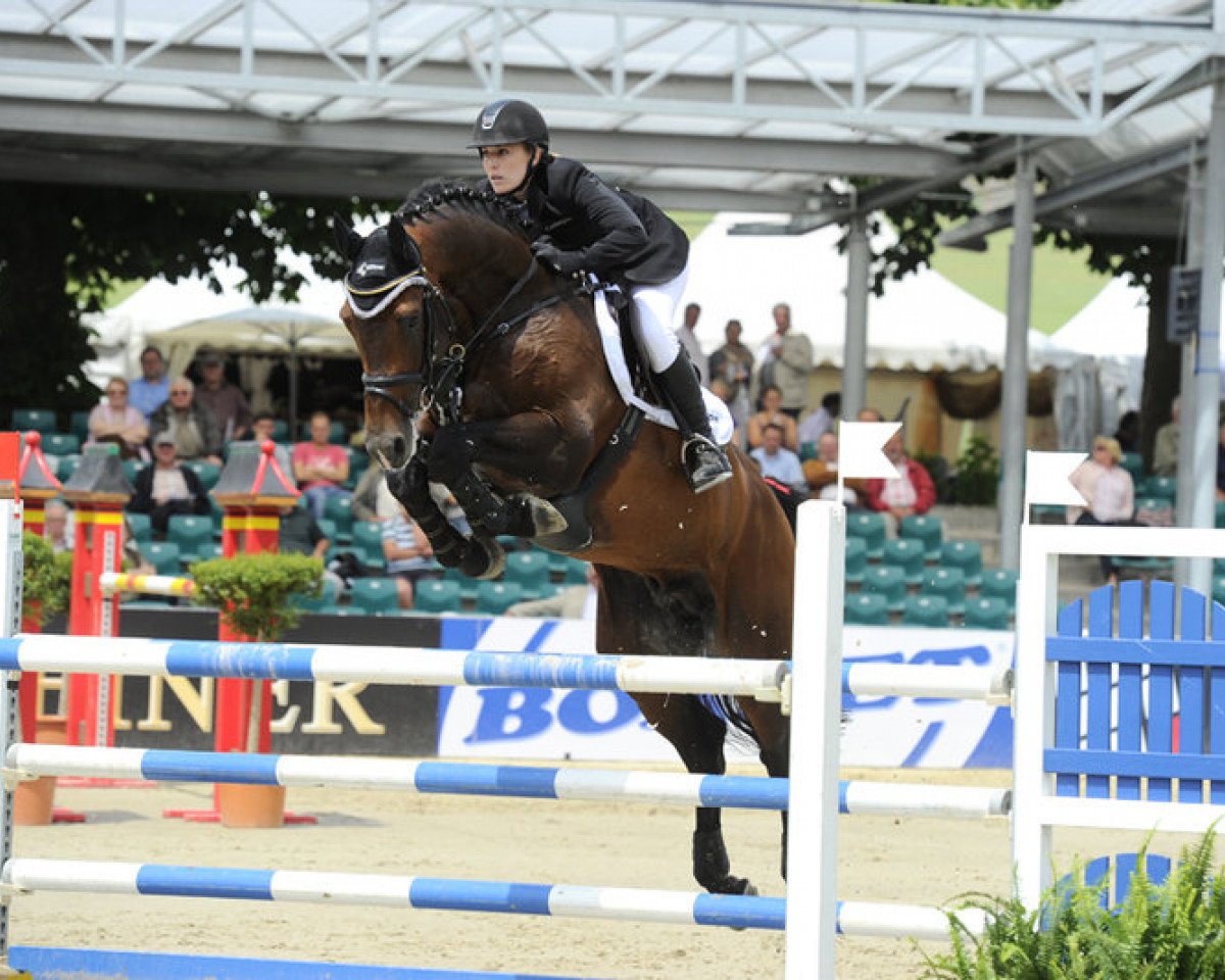 stallion Casquetto (Holsteiner, 2004, from Casall Ask)