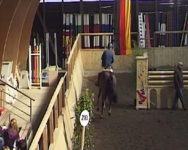 Springpferd Red Dawn (Westfale, 1996, von Landstreicher)