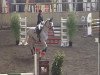 jumper Rabauke 41 (Hanoverian, 1997, from Rabino)