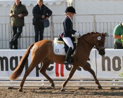 Zuchtstute Doris Day (Deutsches Reitpony, 2008, von FS Don't Worry)