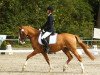 jumper Dandino A (German Riding Pony, 2004, from FS Don't Worry)