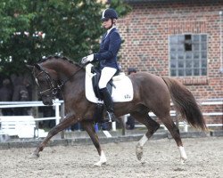 dressage horse Der Kleine Lord 23 (German Riding Pony, 2006, from Der feine Lord AT)