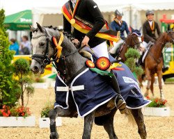 dressage horse Crack P WE (Deutsches Reitpony, 2006, from Charivari)